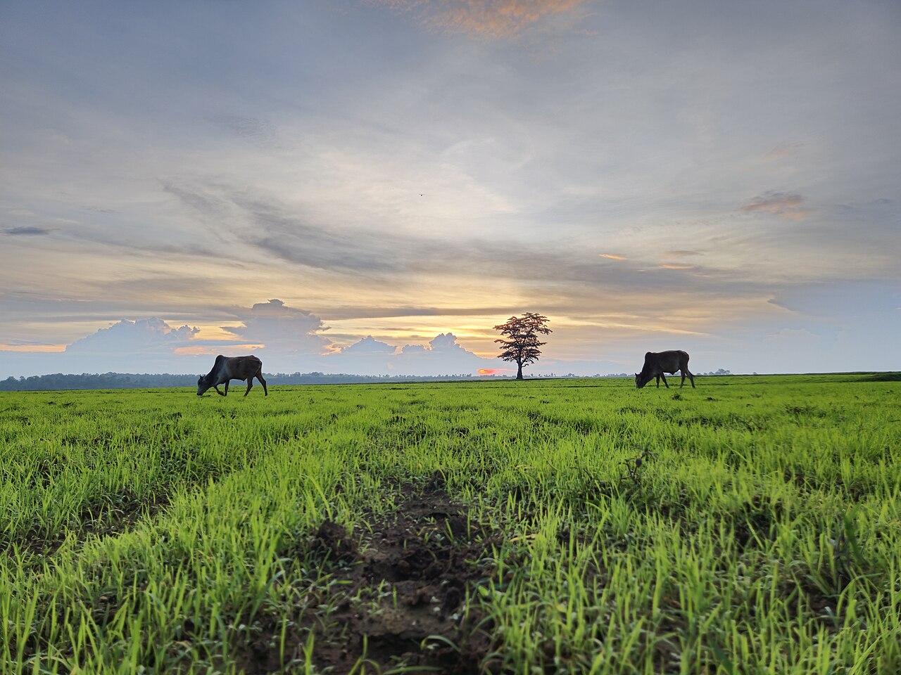 Mainpat, Chhattisgarh